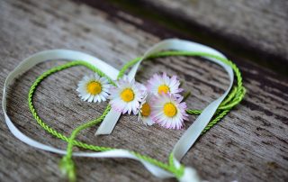 Herz mit Gänseblümchen