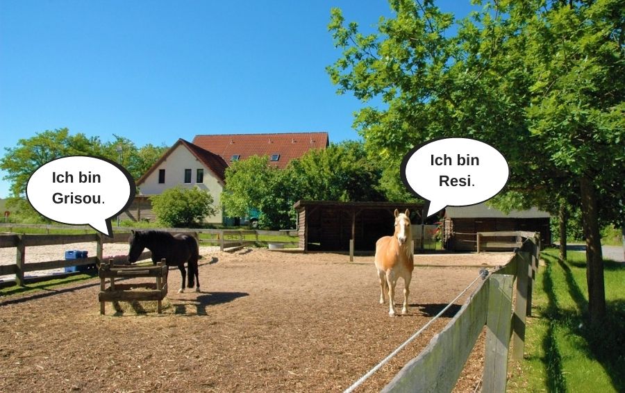 Ich bin Grishou.(1)