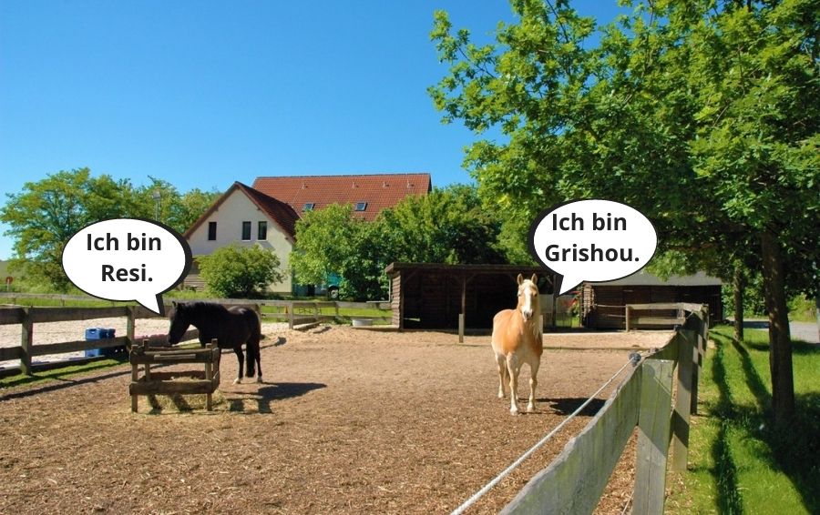 Ich bin Resi.