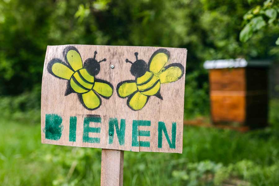 Chronik des Kinderdorfhauses